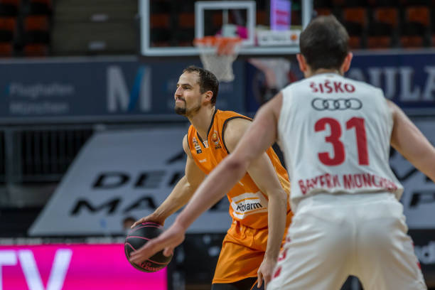 提供了新的 提供了新的